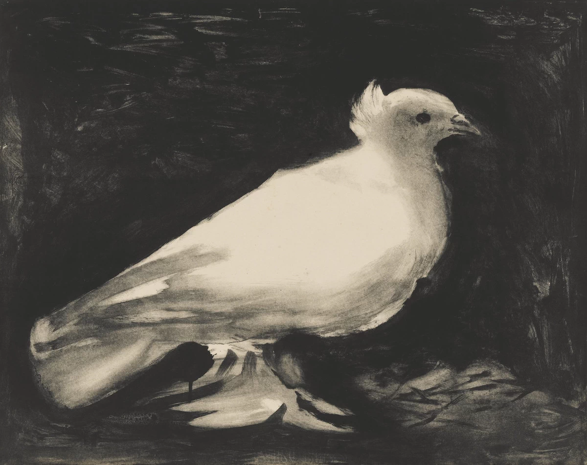 Dove, 1949